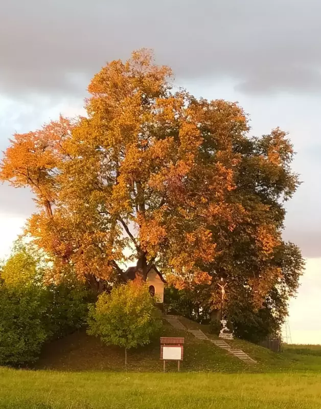 Szlakiem Małej Architektury Sakralnej w Koszęcinie.